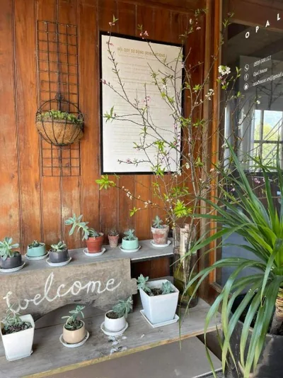 Opal House Ta Van – Photos 9